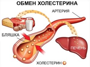 Как снизить холестерин народными средствами