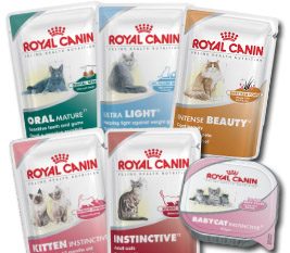 Обзор корма для кошек Royal Canin – отзывы, рекомендации