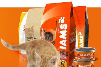 Корм для кошек Ямс (Iams): обзор, отзывы, рекомендации