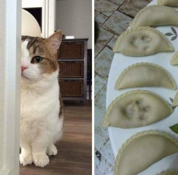 дайджест сентябрь