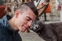 Каких людей любят кошки