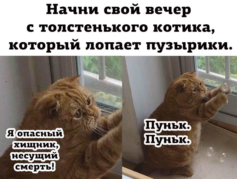 КотоДайджест на июнь - все самое интересное