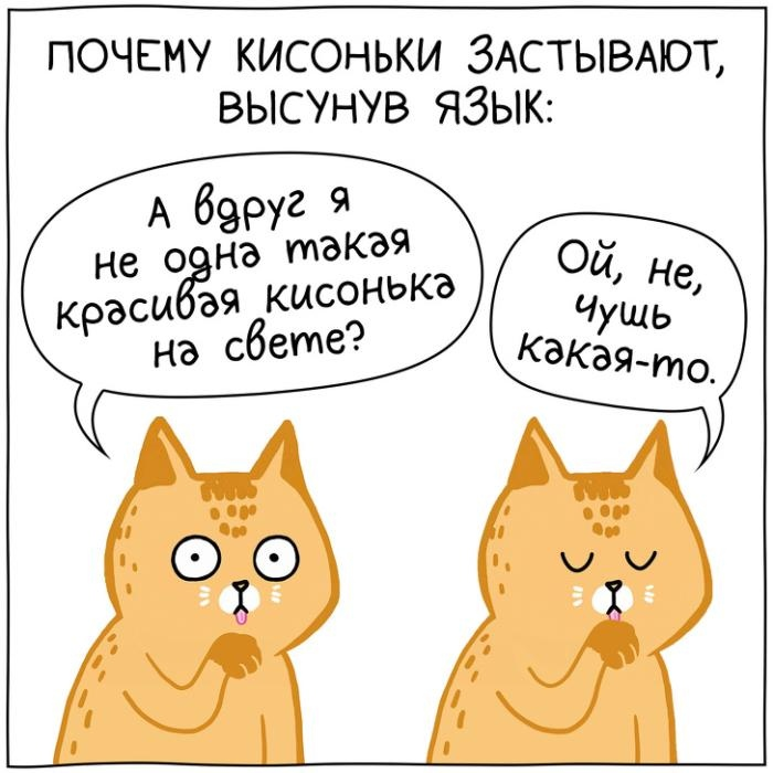 КотоДайджест на сентябрь - все самое интересное