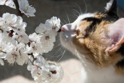 КотоДайджест на март — все самое интересное