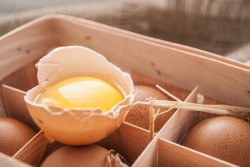Что можно есть при сальмонеллезе