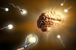 Техника запоминания информации, или что такое мнемоника