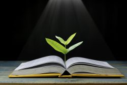 Житейская и научная психология: примеры, сходства и различия, взаимосвязь