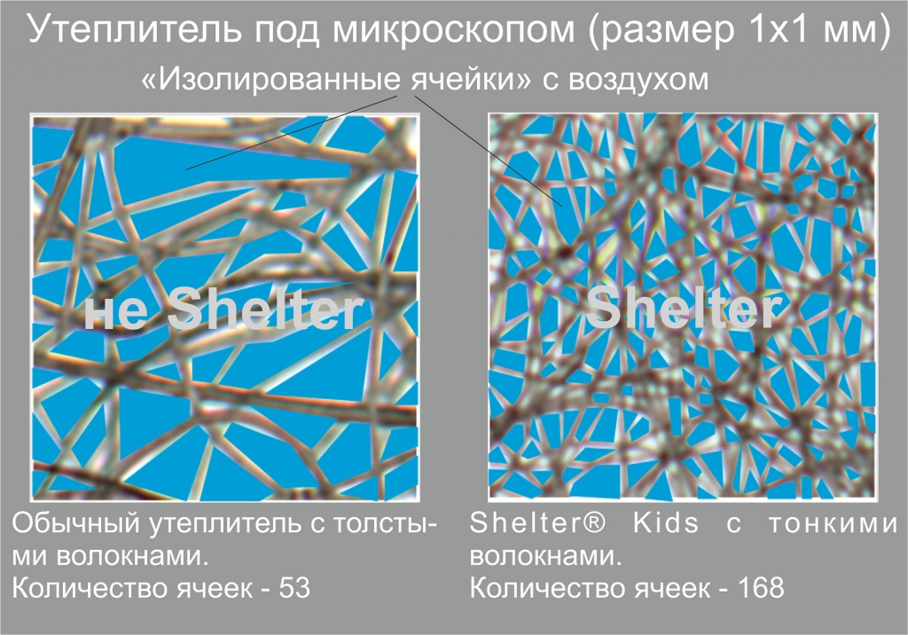 ячейки шелтера